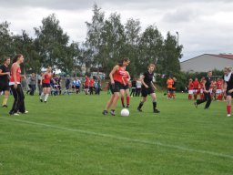 fussidunier_2011_26