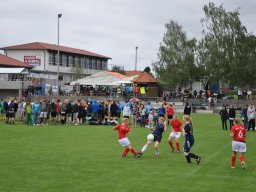 fussidunier_2011_30