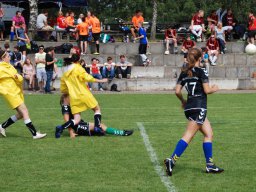 fussidunier_2012_012