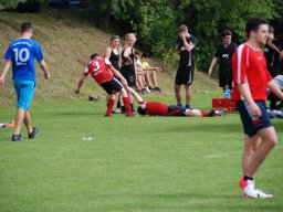fussidunier_2012_030