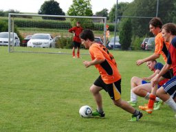 fussidunier_2012_088