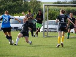 fussidunier_2012_104