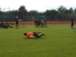 fussidunier_2012_122