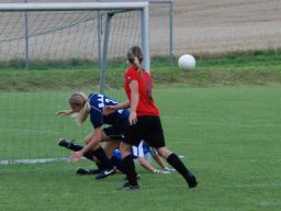 fussidunier_2012_143
