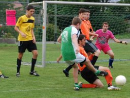fussidunier_2012_162
