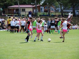fussidunier_2015_0046