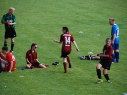 fussidunier_2016_157