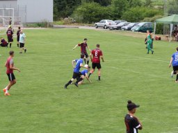 fussidunier_2019_290