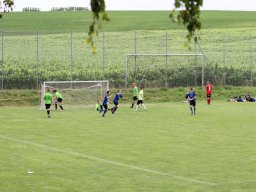 fussidunier_2019_294