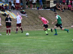 fussidunier_2022_106