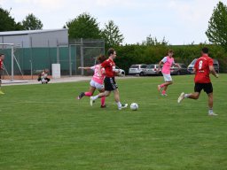 fussidunier_2022_233