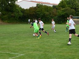 fussidunier_2022_246